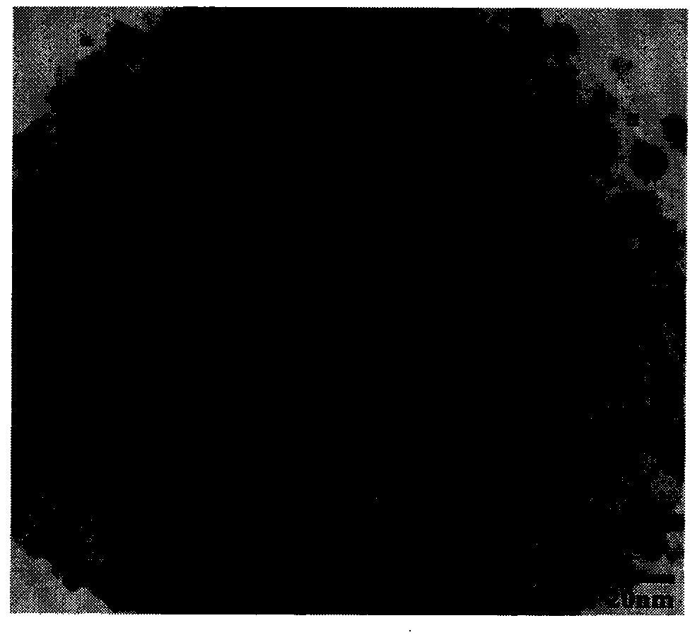 Method for preparing superparamagnetic polymer microspheres