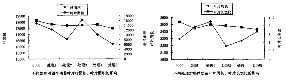 Special compound fertilizer in seedling stage of silky oak