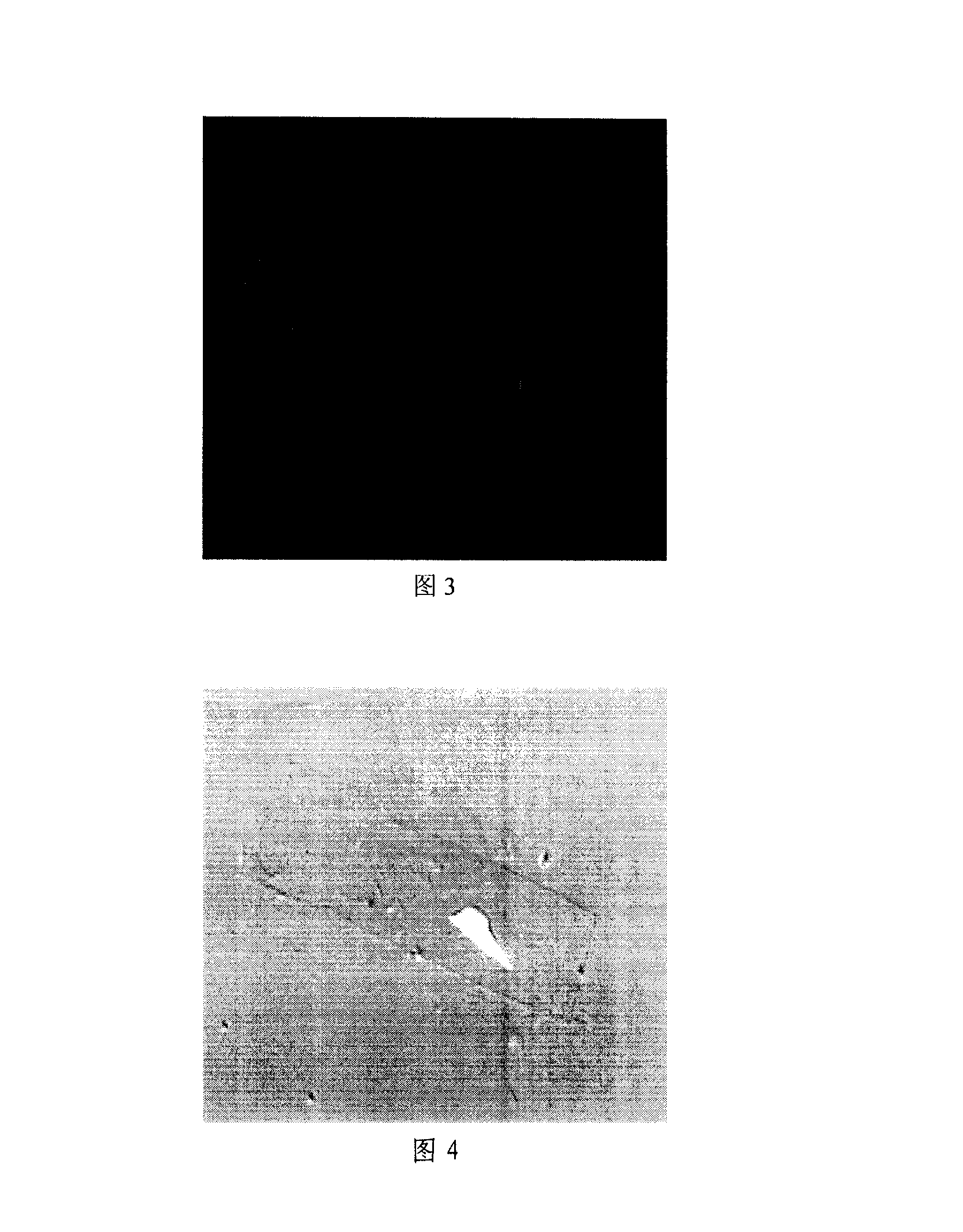 Method for preparing camptothecin medicine slow releasing microcapsule