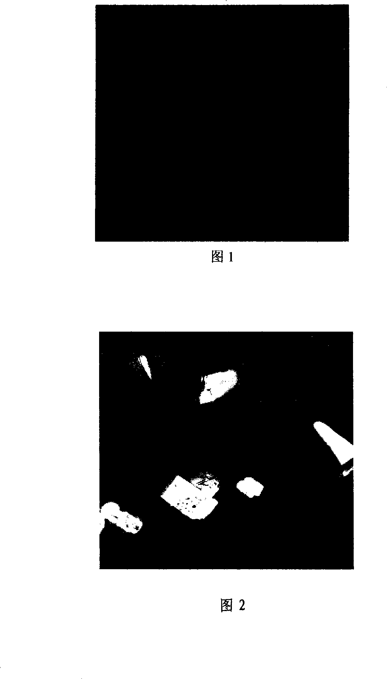 Method for preparing camptothecin medicine slow releasing microcapsule