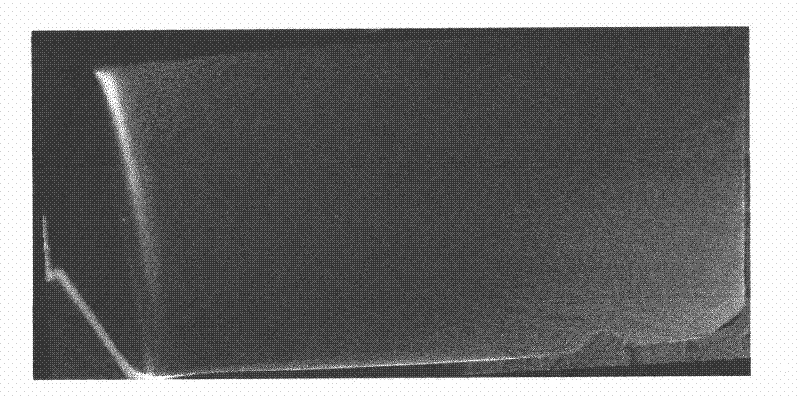 Method for judging metallurgical quality of titanium alloy blade