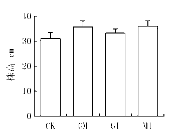 Vegetation concrete and preparation method thereof