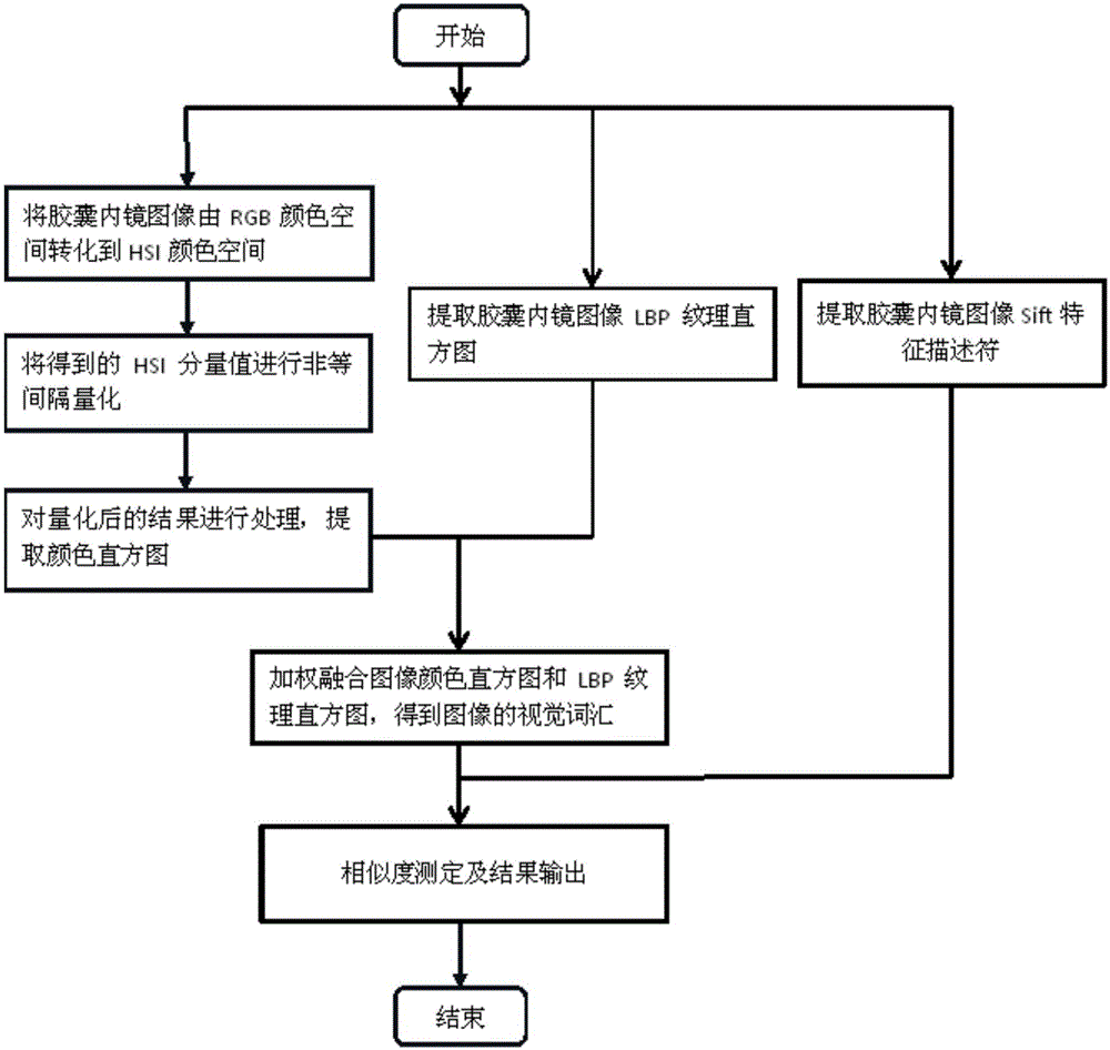 Capsule endoscopy image retrieval method based on visual vocabularies and local descriptors