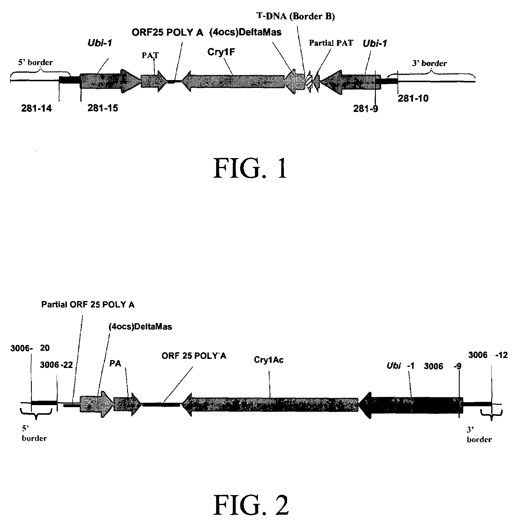 Cry1F and Cry1Ac transgenic cotton lines and event-specific identification thereof