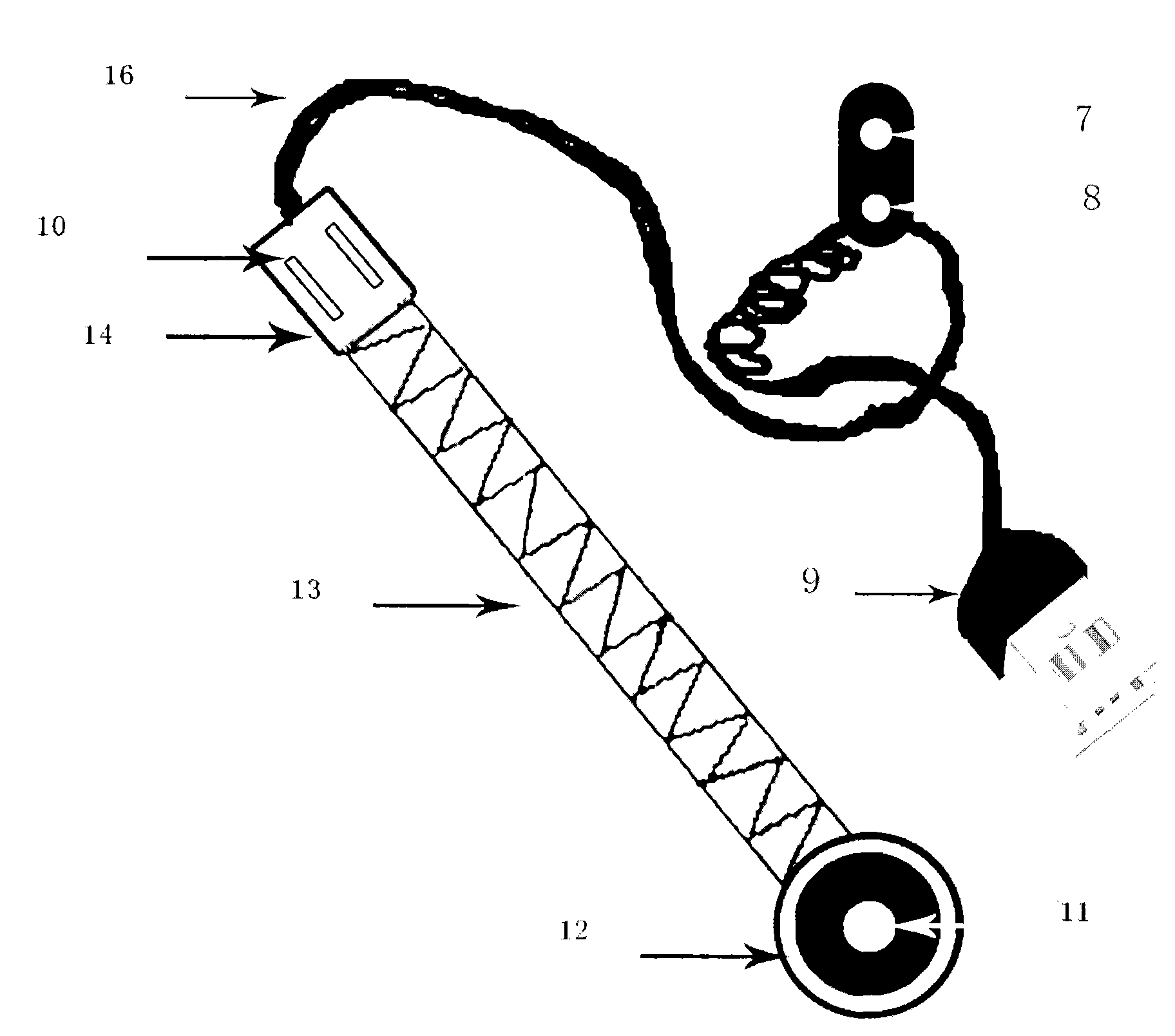 Visible oral cavity mouth gag