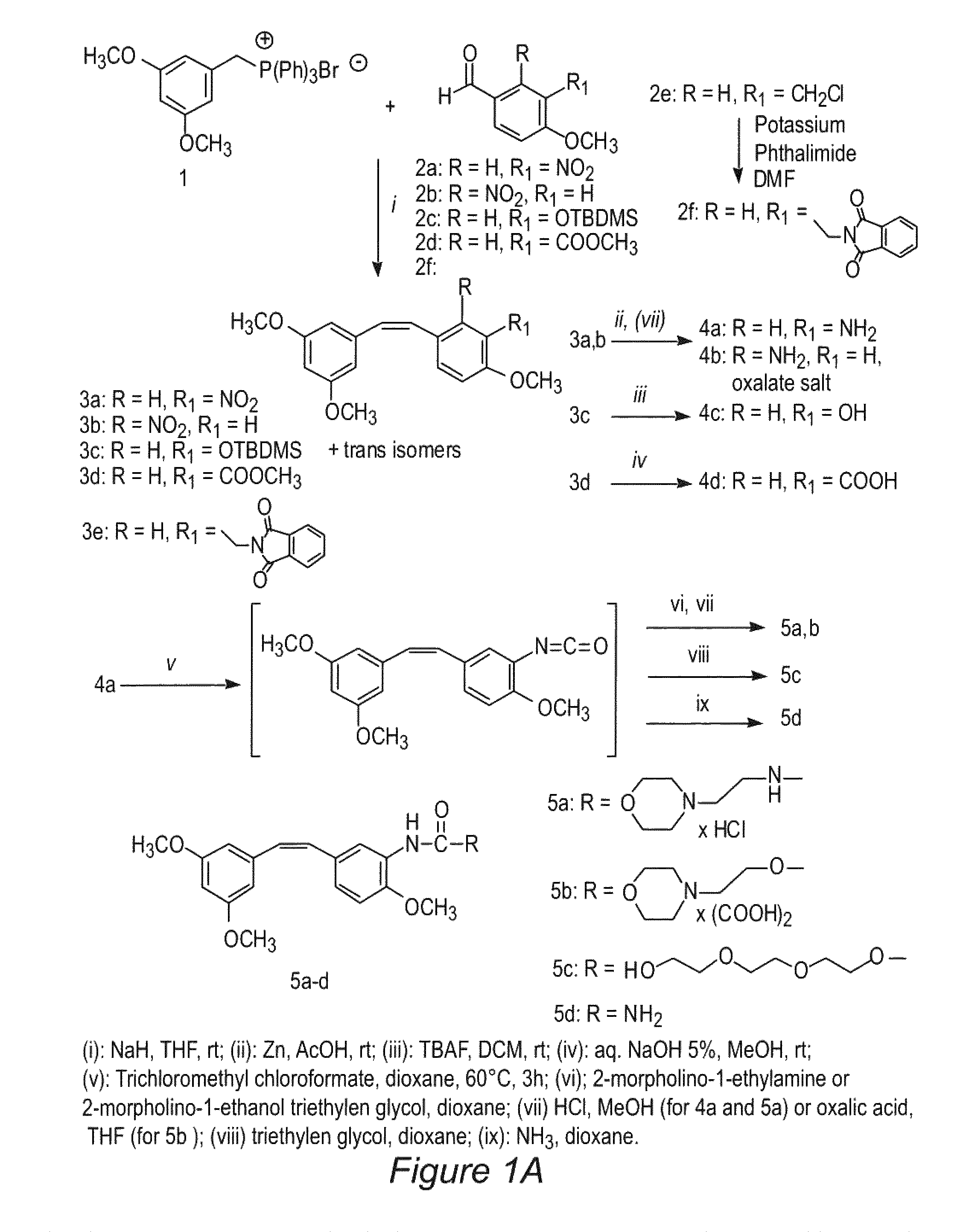 Stilbene derivatives as new cancer therapeutic agents