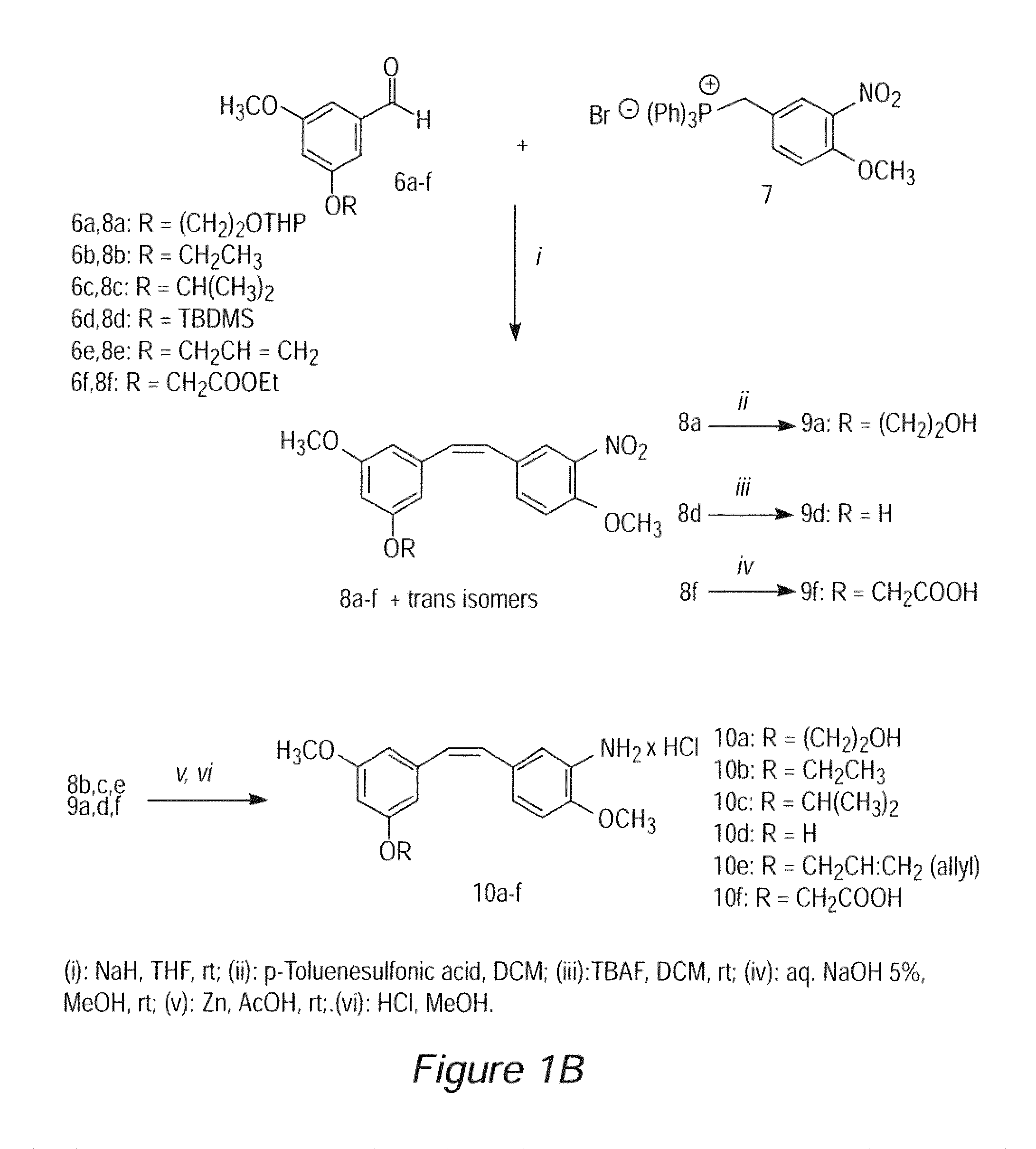 Stilbene derivatives as new cancer therapeutic agents