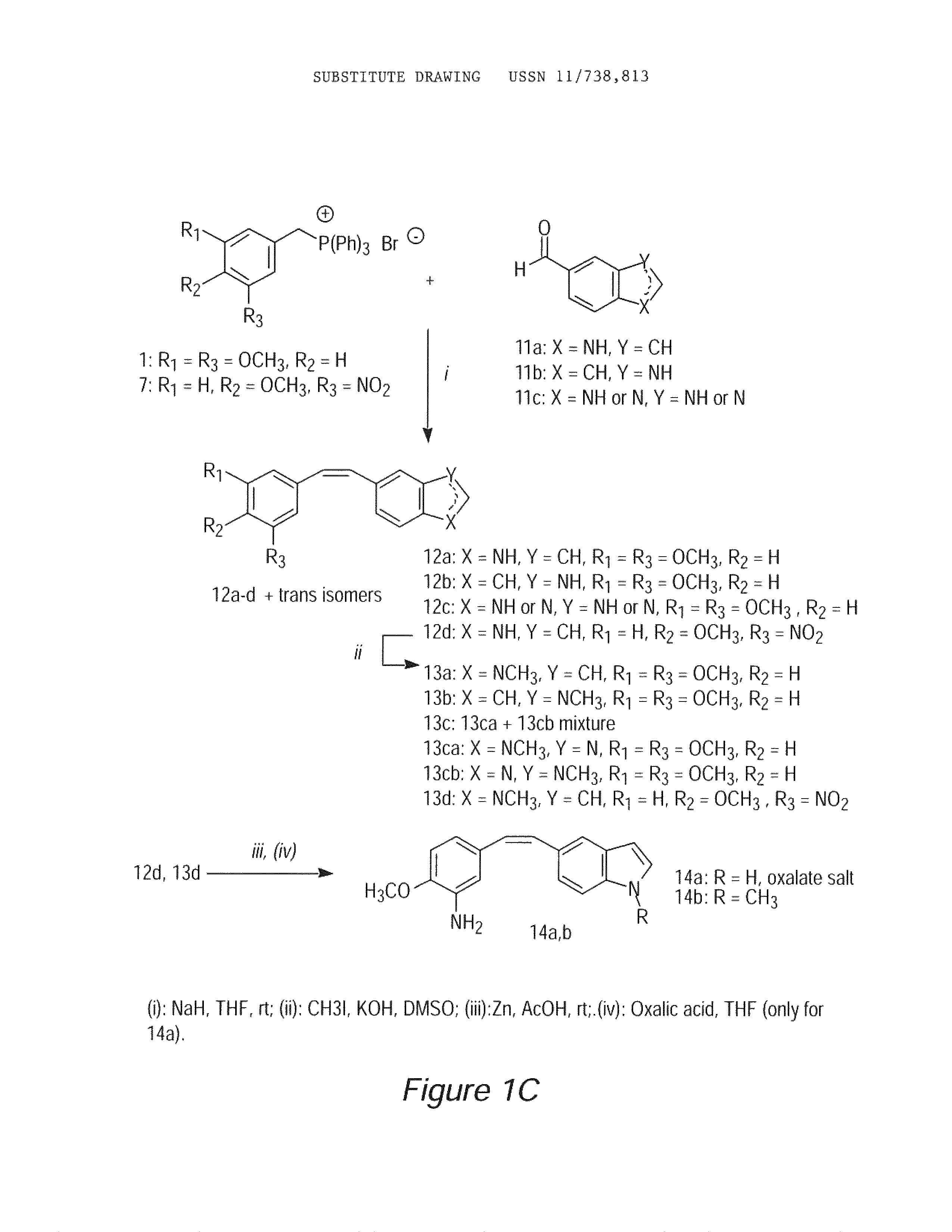 Stilbene derivatives as new cancer therapeutic agents