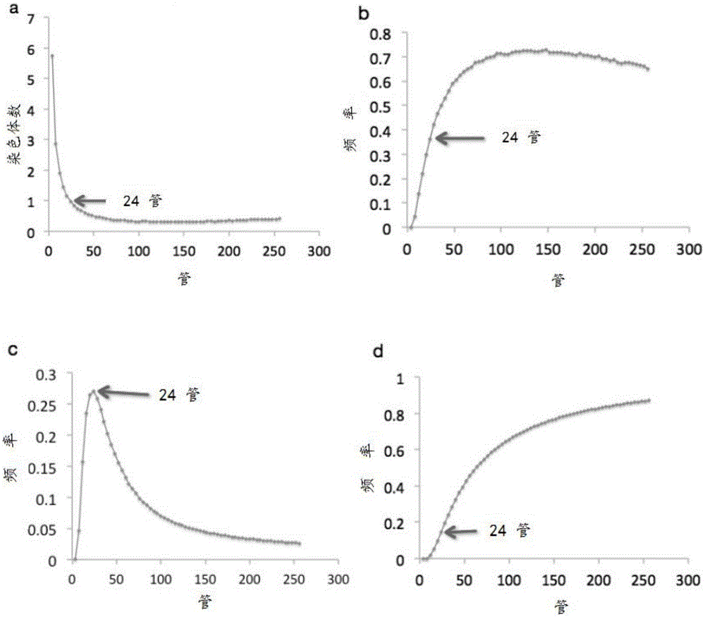 Single chromosome segregation method, single chromosome high-throughput sequencing library construction method and application