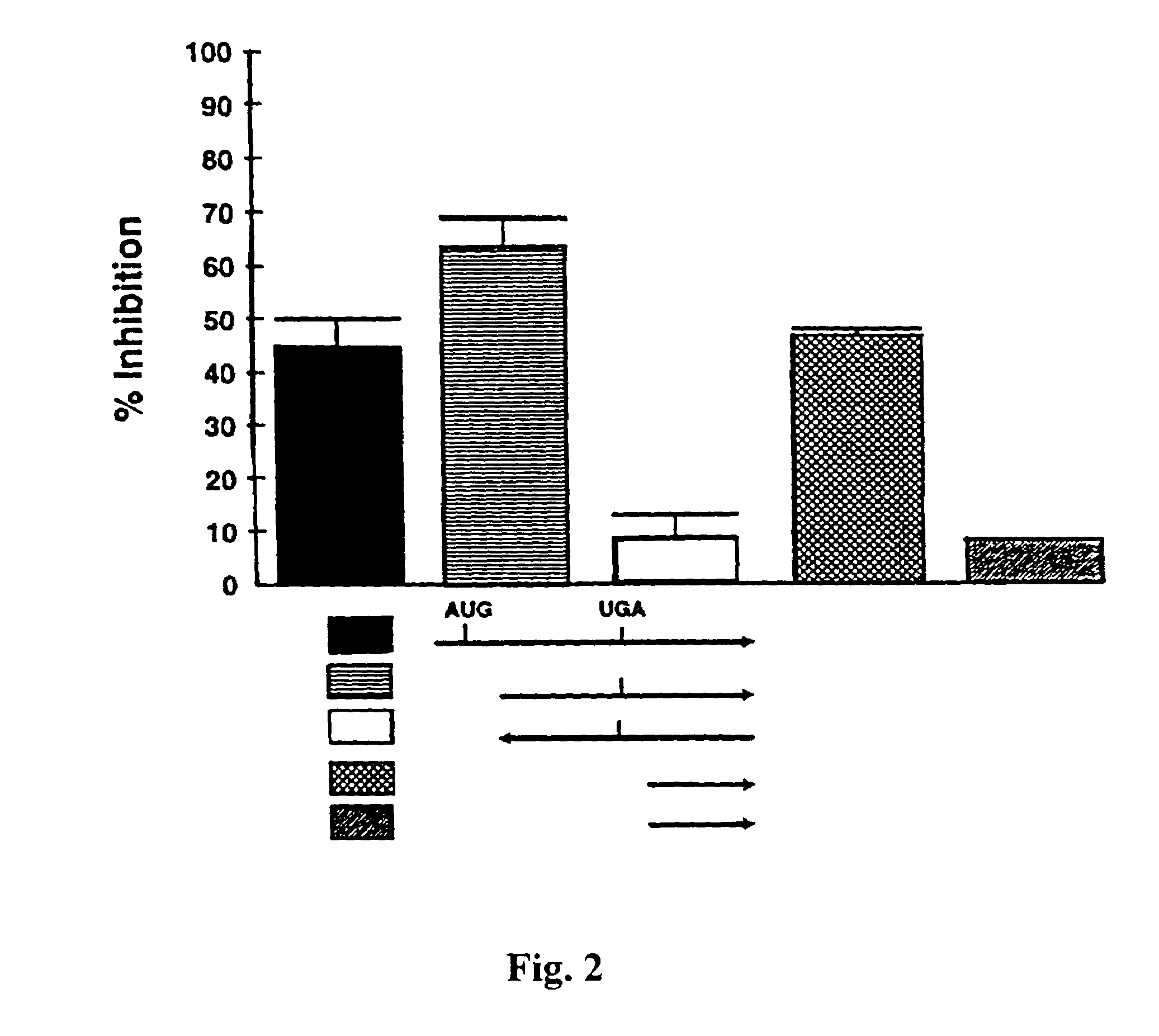 3' UTR of the human prohibitin gene