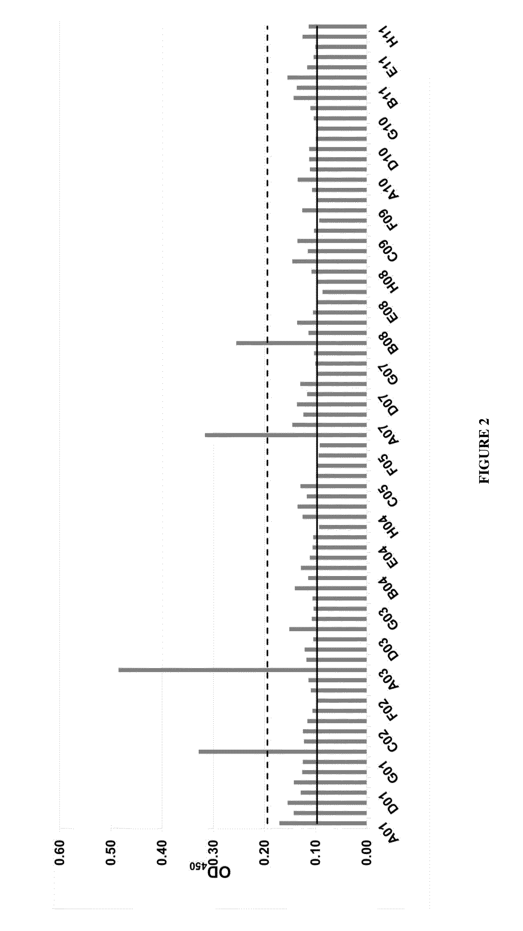 Multi-specific monoclonal antibodies