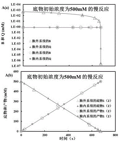 System for reproducing in vivo reaction in vitro