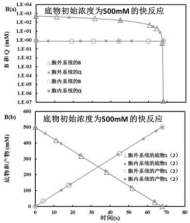 System for reproducing in vivo reaction in vitro