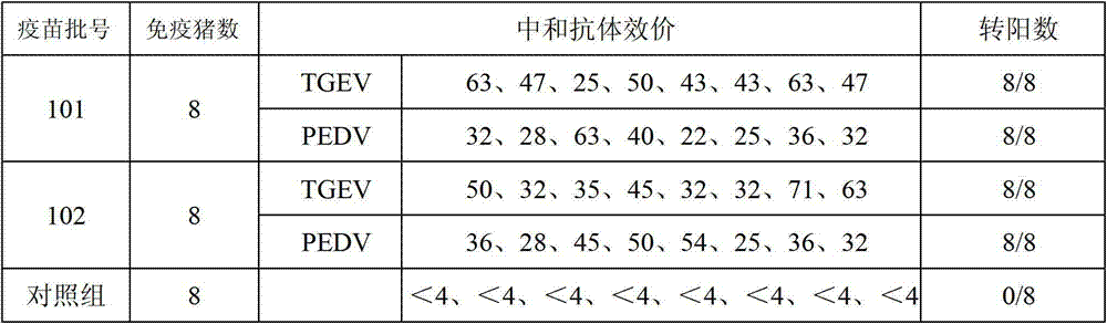 Porcine transmissible gastroenteritis and epidemic diarrhea combined live vaccine and preparation method thereof