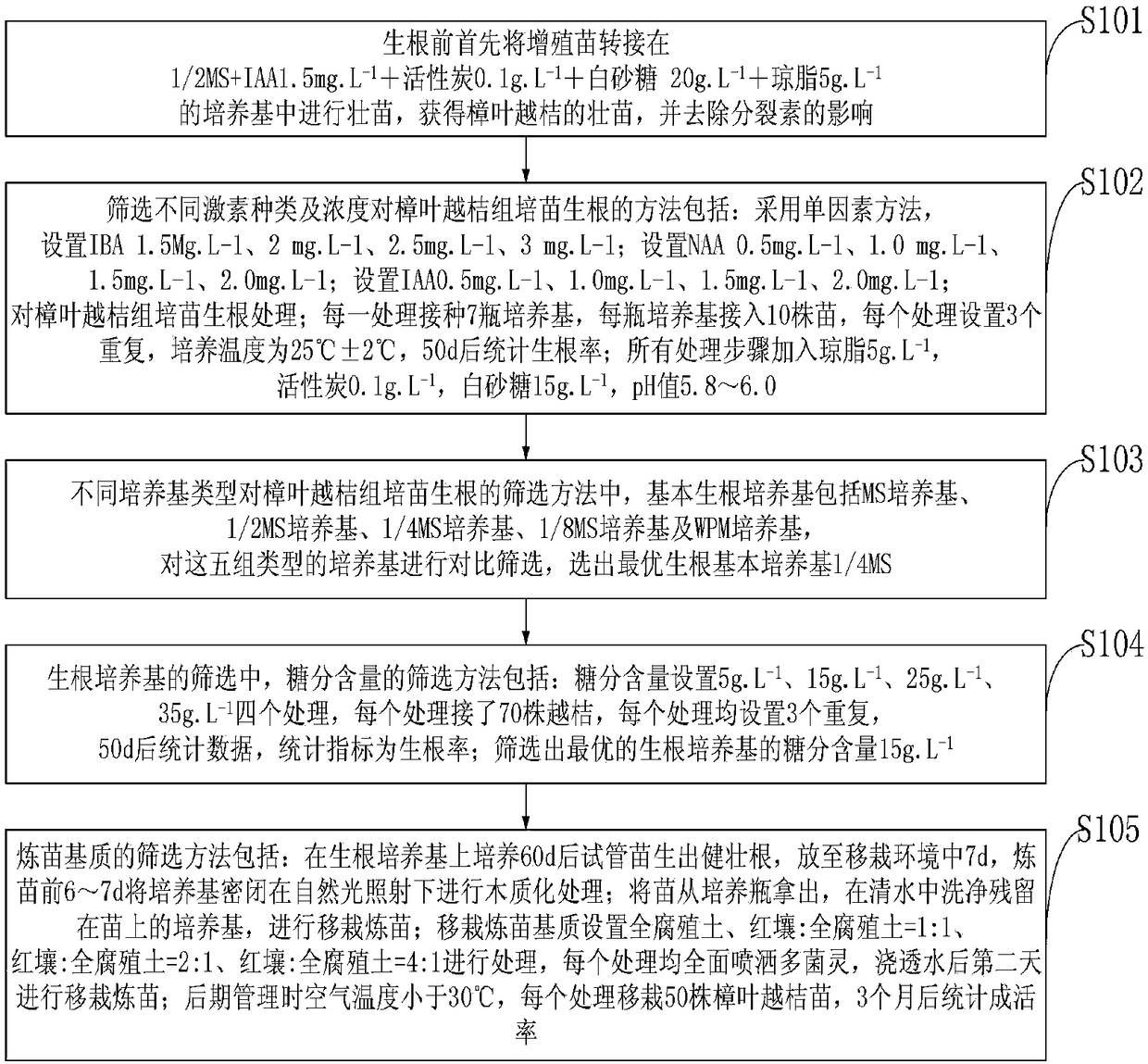 Method for rooting and seedling transplantation exercising of vaccinium dunalianum Wight