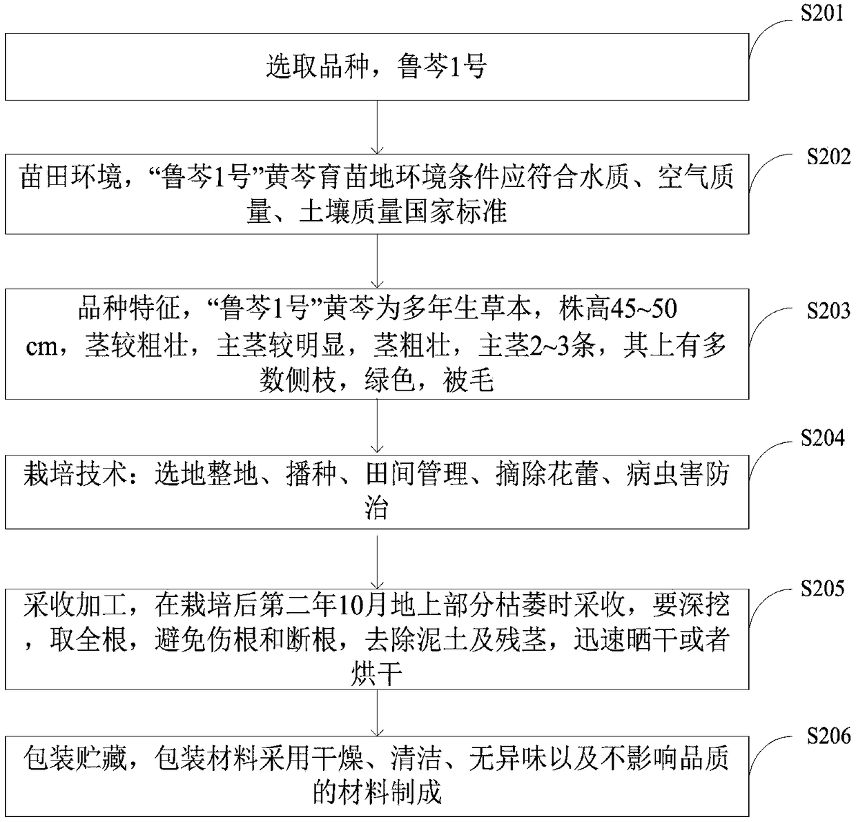 Stock breeding and cultivating method for scutellaria baicalensis