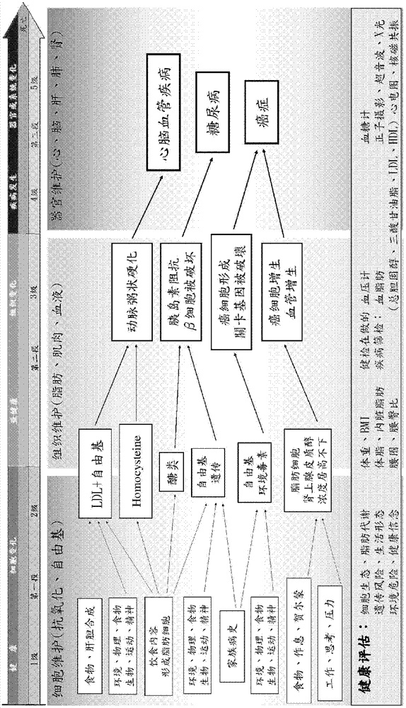 Health assessing and post-execution re-assessing system