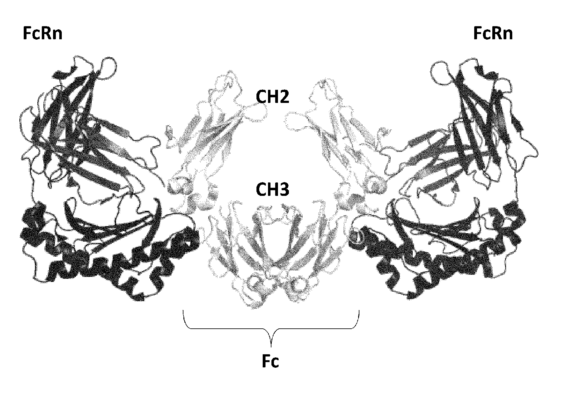 Heterodimerized polypeptide