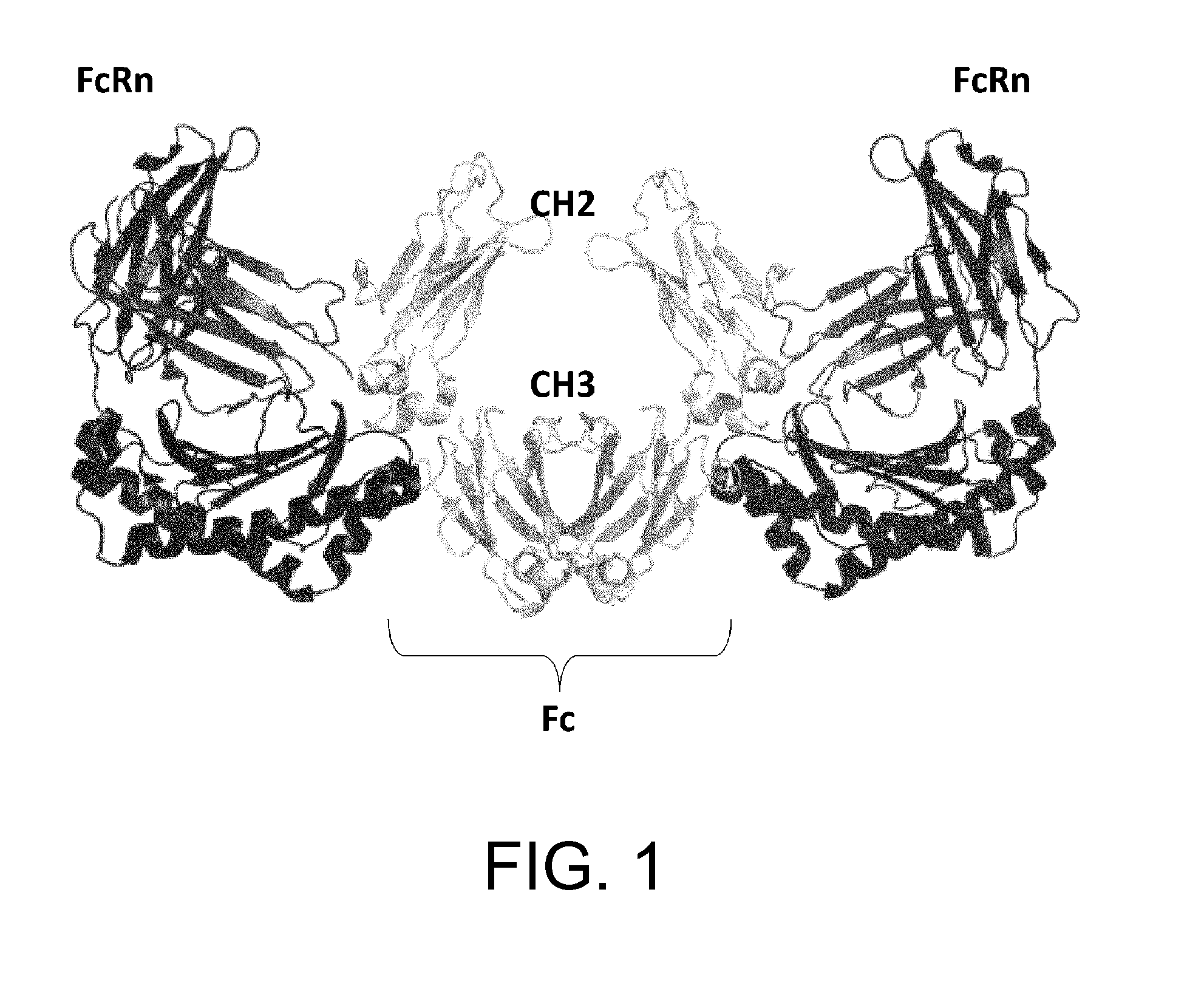 Heterodimerized polypeptide