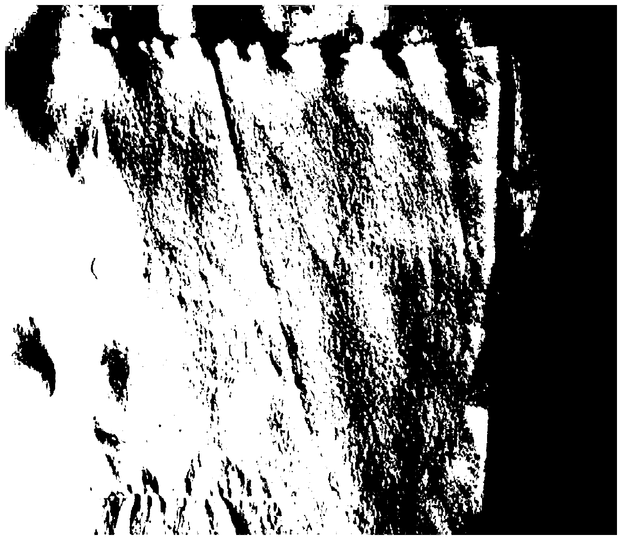 Dyeing process of antibacterial type real silk dyed fabric with quercus acutissima shells