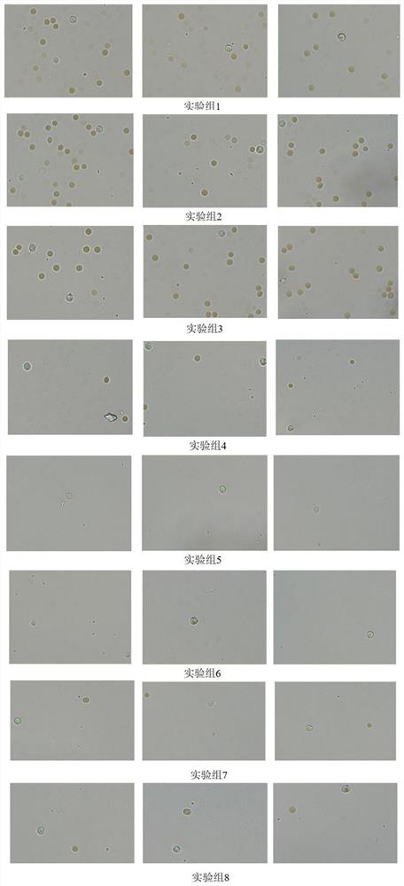 Circulating tumor cell separation and enrichment kit