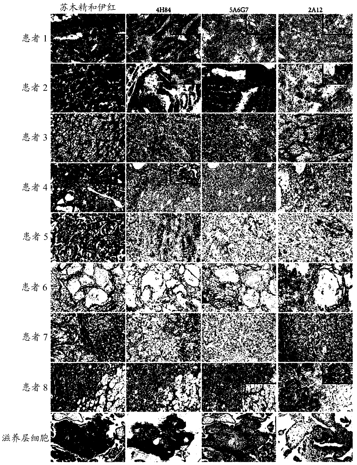 Hla-g transcripts and isoforms and their uses