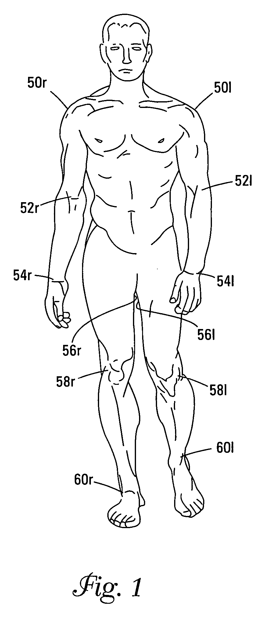 Method of passively loading an endoskeletal animal's body