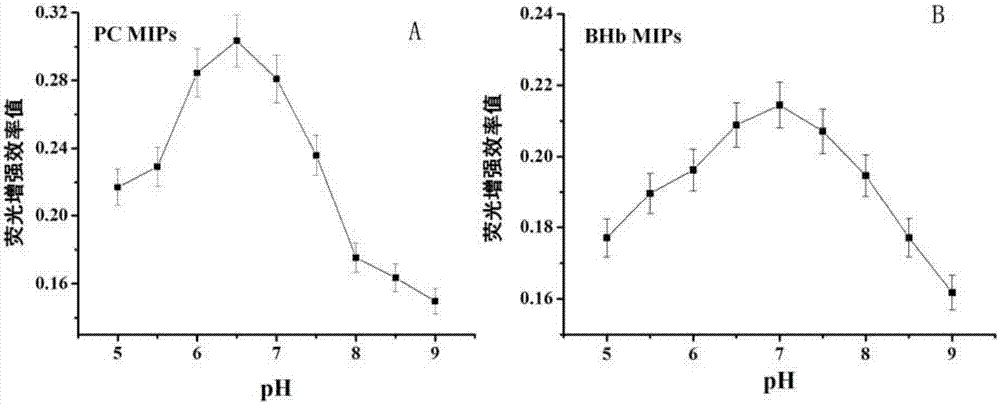 Quantum dot-based protein imprinted polymer microsphere as well as preparation and application thereof