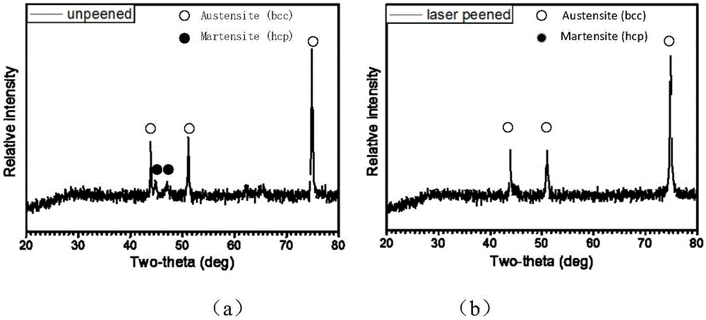 Method and device capable of improving hydrogen brittleness resistance of stainless steel materials substantially