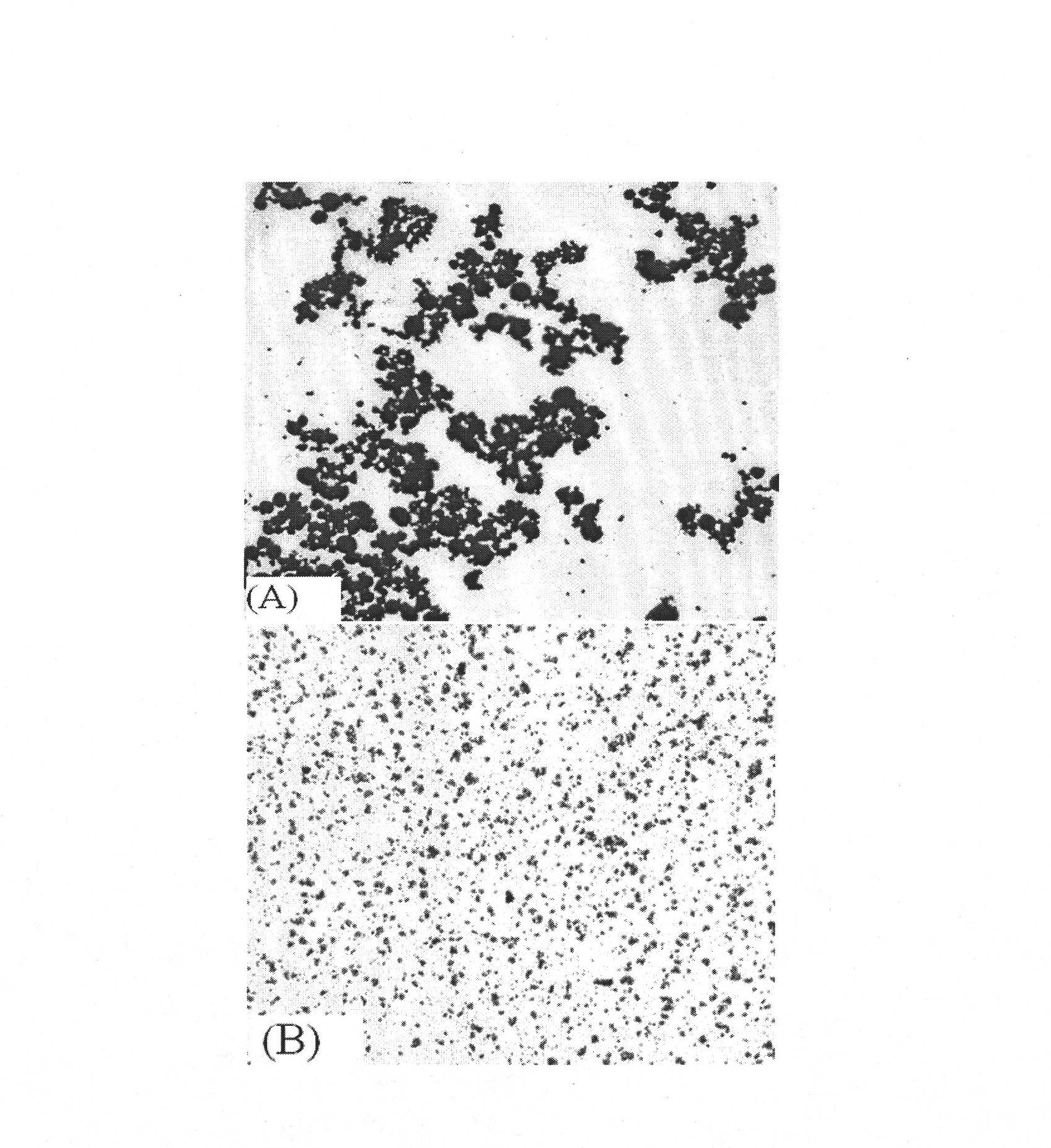 Method for preparing lysozyme molecular imprinting nano particles with magnetic responsiveness and extremely high adsorption capacity