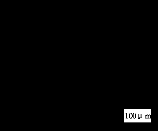 Heat treatment technique for obtaining tristate tissue by carrying out two-phase-region high temperature deformation on TC4-DT titanium alloy