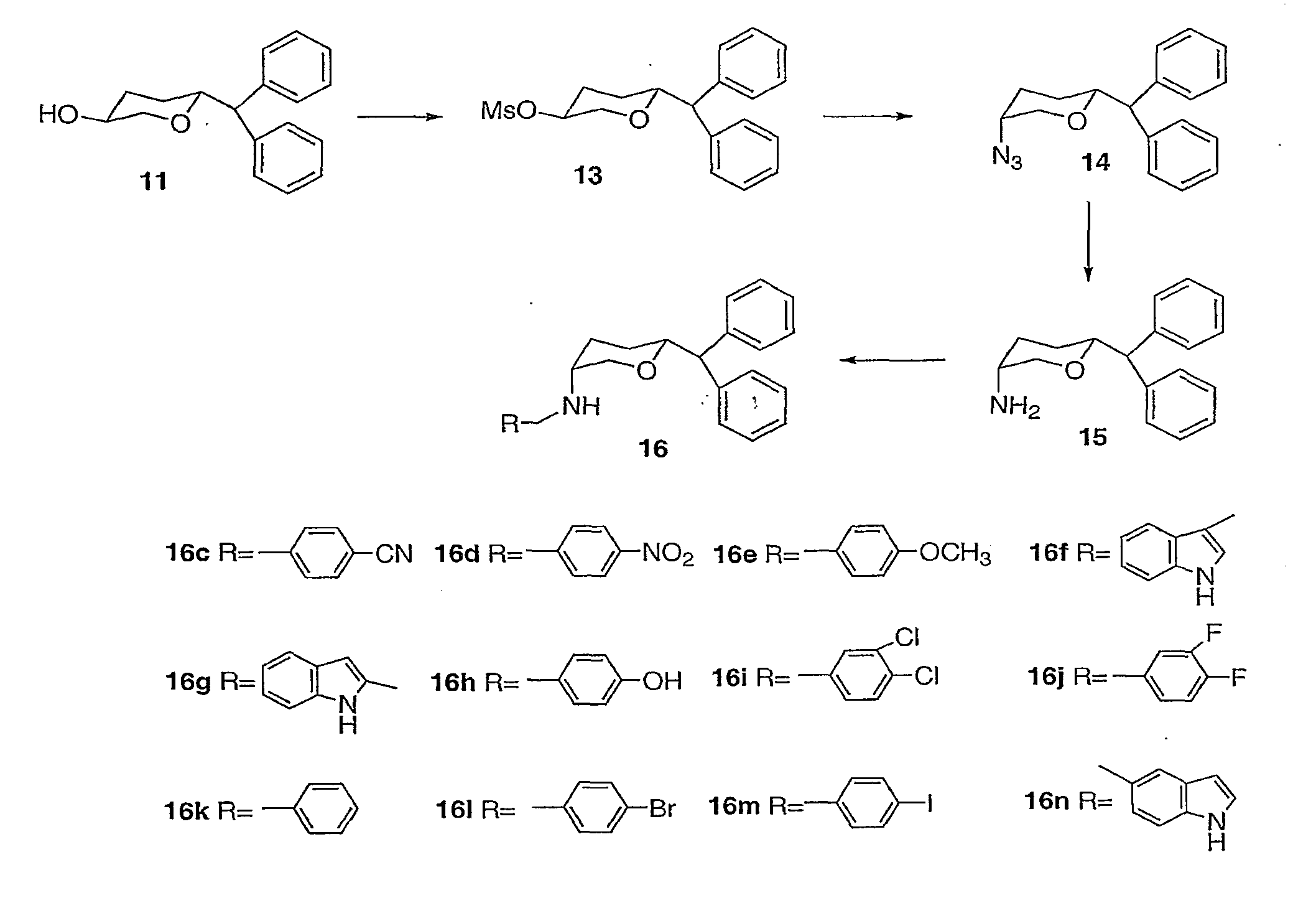 Tri-substituted 2-benzhydryl-5-benzylamino-tetrahydro-pyran-4-ol and 6-benzhydryl-4-benzylamino-tetrahydro-pyran-3-ol analogues, and novel 3,6-disbustituted pyran derivatives