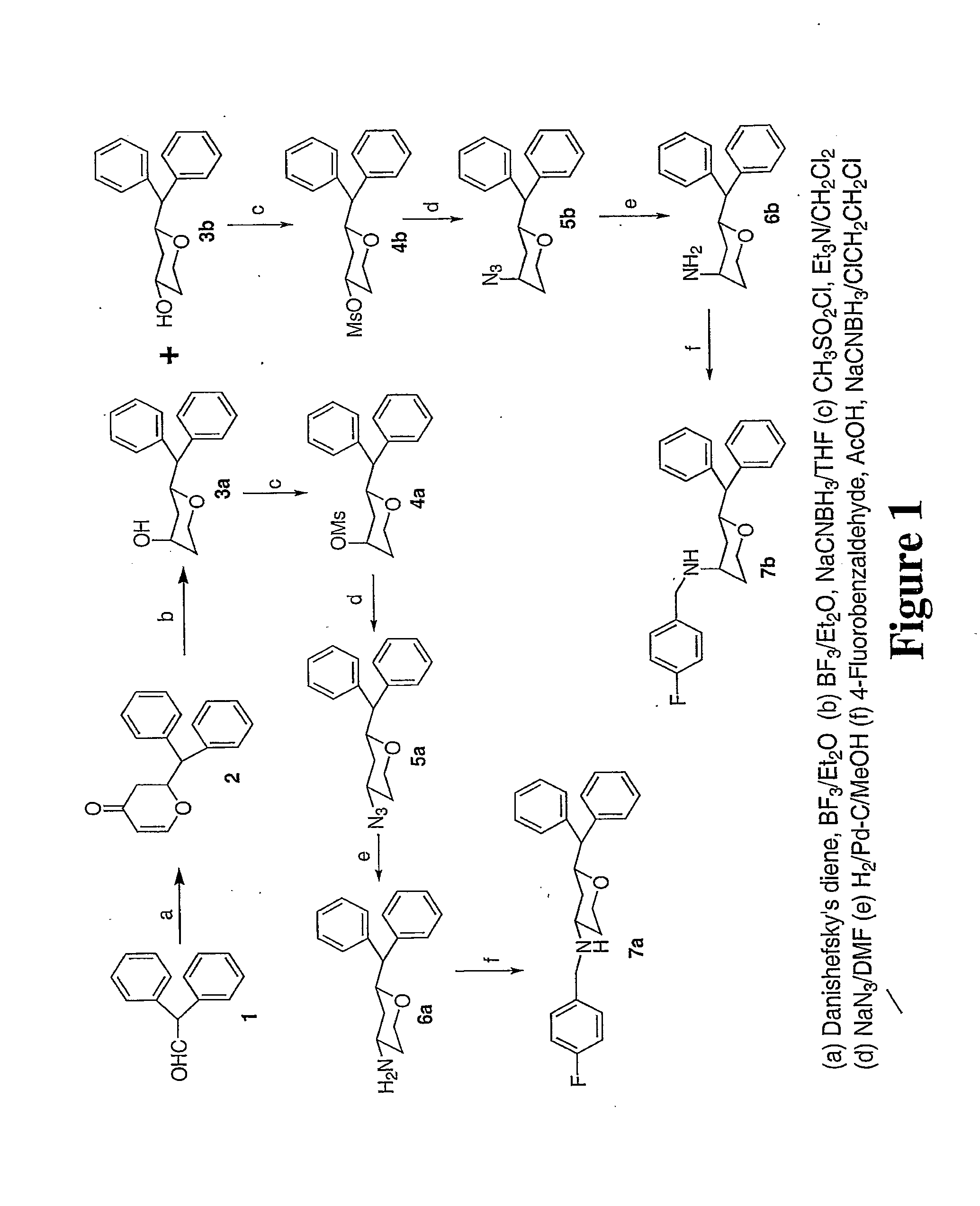 Tri-substituted 2-benzhydryl-5-benzylamino-tetrahydro-pyran-4-ol and 6-benzhydryl-4-benzylamino-tetrahydro-pyran-3-ol analogues, and novel 3,6-disbustituted pyran derivatives