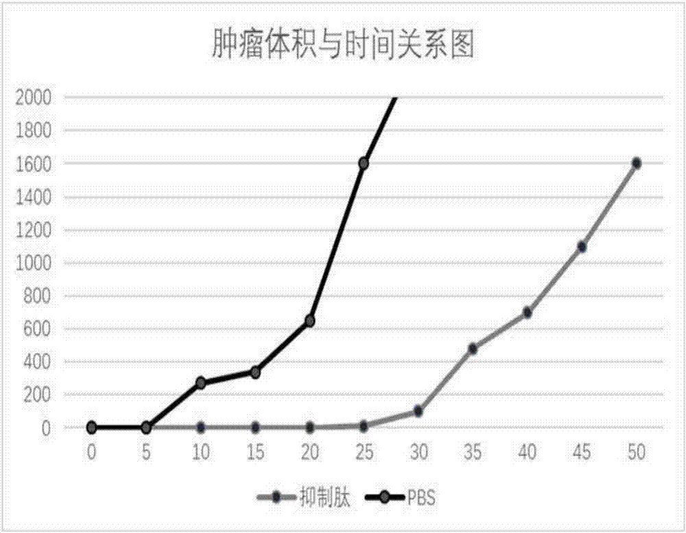 Tumor inhibitory peptide capable of being specifically bound with PD-1 and application thereof