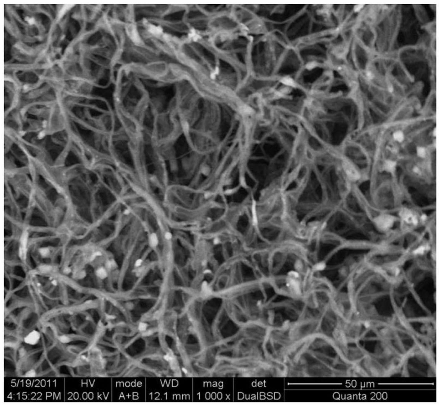 Method for adsorbing lead in wastewater by using composite magnetic biological adsorbent