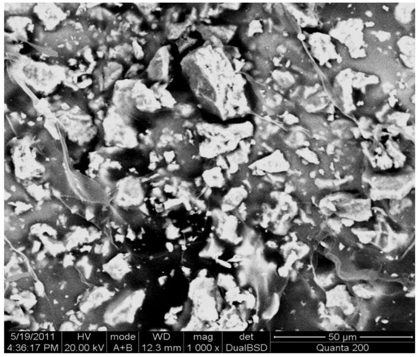 Method for adsorbing lead in wastewater by using composite magnetic biological adsorbent