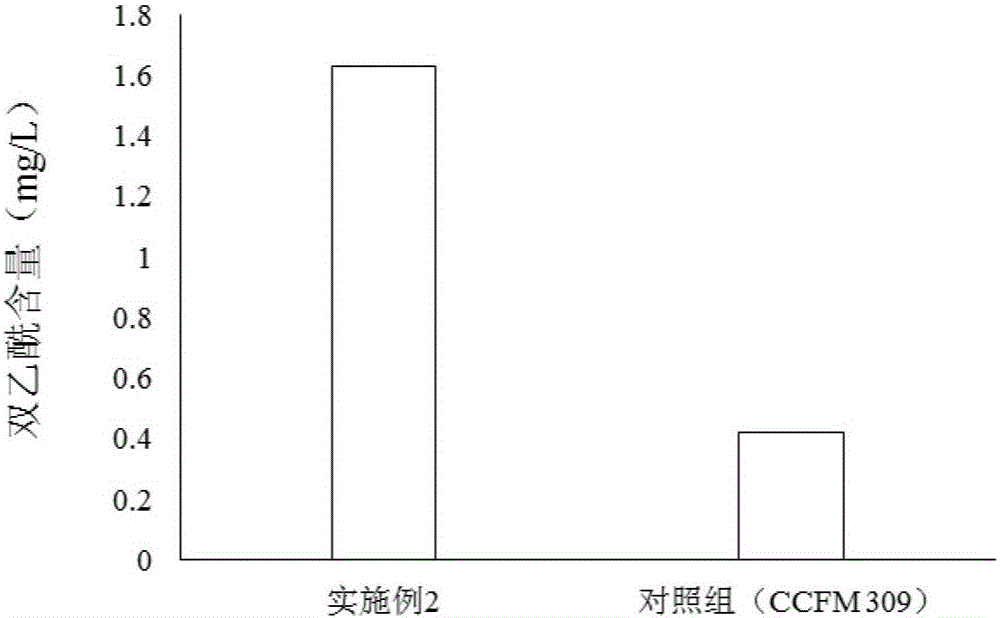 Lactobacillus plantarum having diacetyl synthesis capacity and application of lactobacillus plantarum