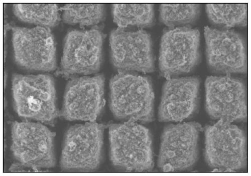 Method for preparing multi-scale nano-composite structure through laser cleaning assisted laser ablation