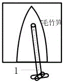 Sample preparation method for analysis samples of bamboo shoot flesh