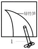 Sample preparation method for analysis samples of bamboo shoot flesh