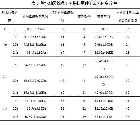 Method for doubling glycyrrhiza pallidiflora maxim chromosomes through tissue culture