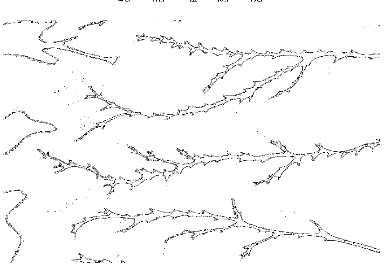 A method for dividing development units of low-permeability lithologic heterogeneous gas reservoirs