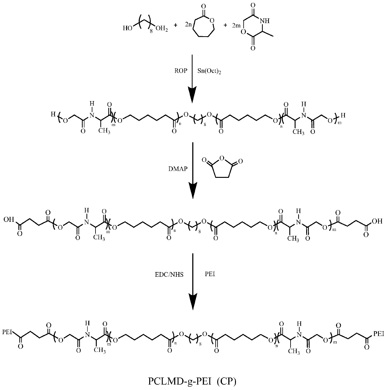 Target polypeptide modified positive ion copolymer gene vector and preparation method and application