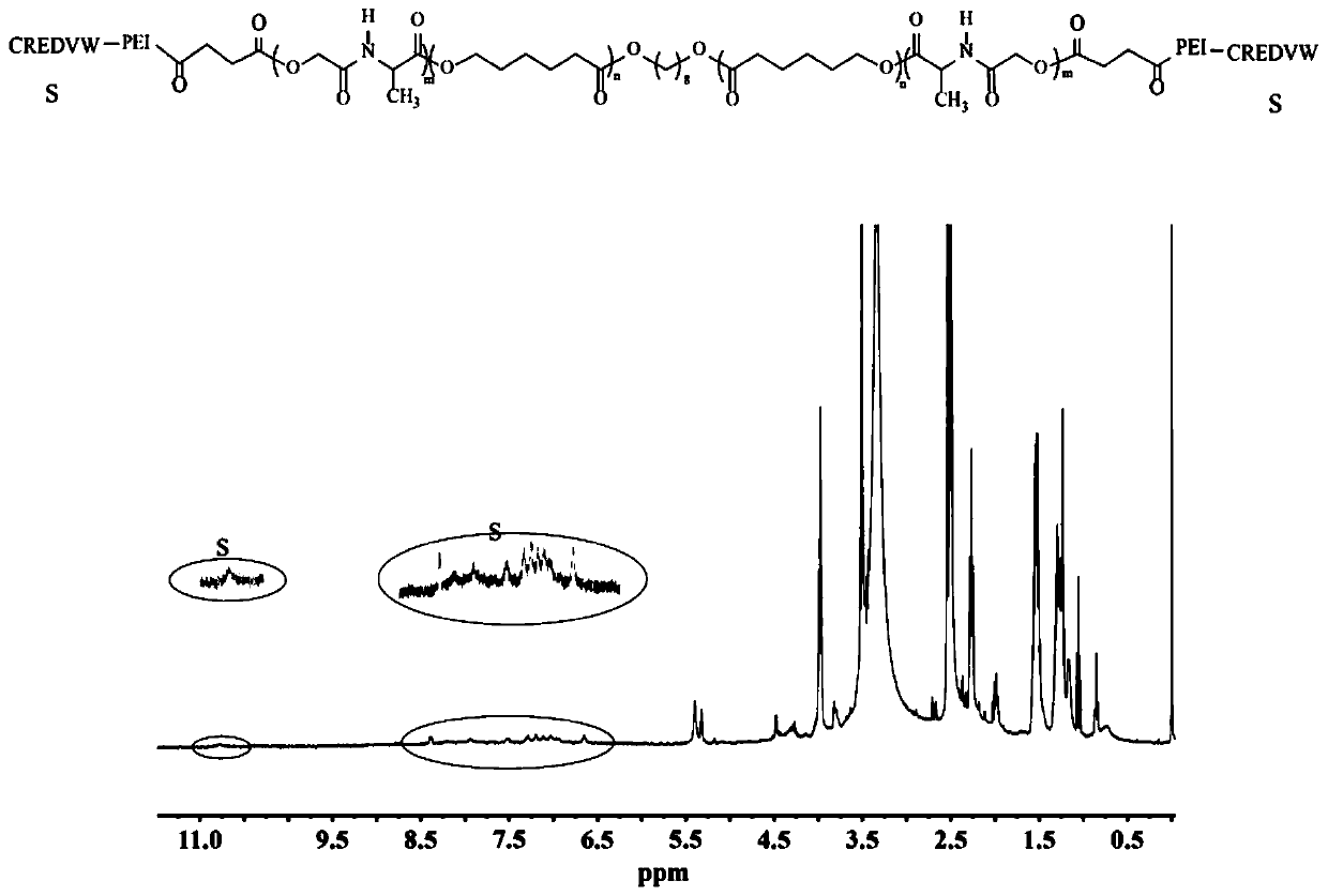 Target polypeptide modified positive ion copolymer gene vector and preparation method and application