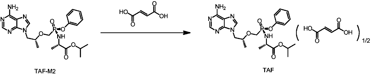 Preparation method of tenofovir alafenamide hemifumarate