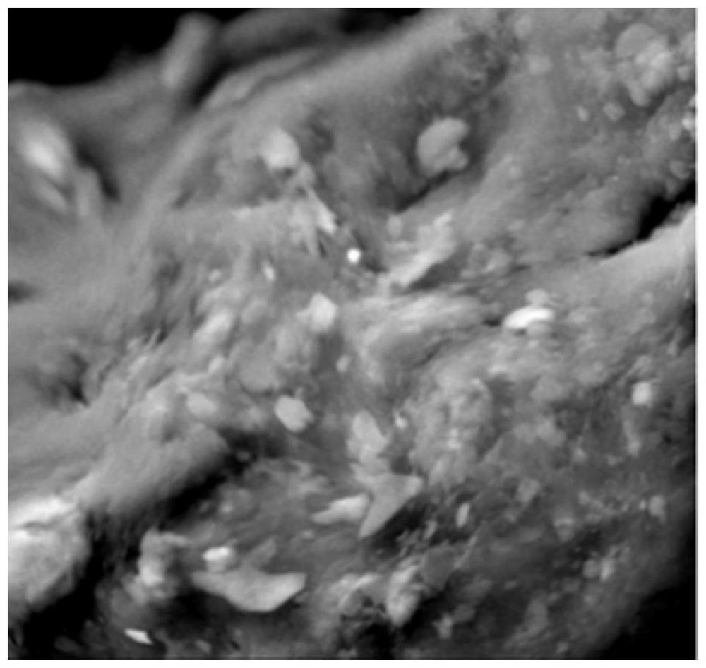 A preparation method of a chemical inhibitor for preventing lignite spontaneous combustion