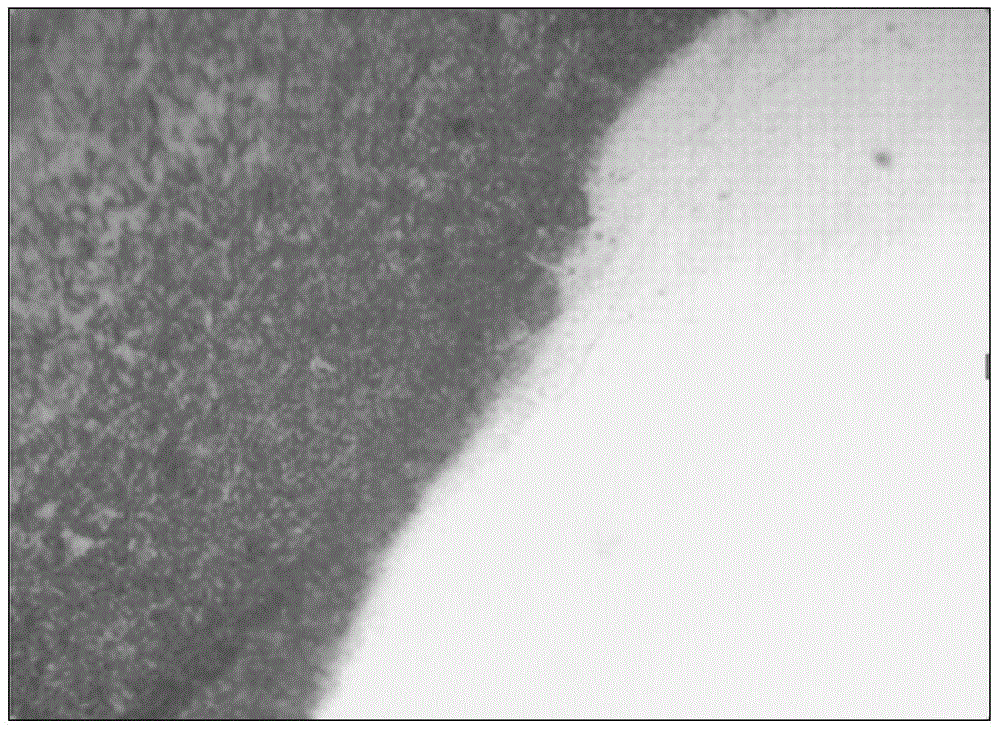 Iron-based non-crystalline composite coating for protecting heat exchange pipes in flue gas waste heat recovery system of power station boiler and laser re-melting and moulding technology thereof