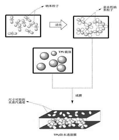 Intelligent waterproof moisture-permeable film and preparation method thereof