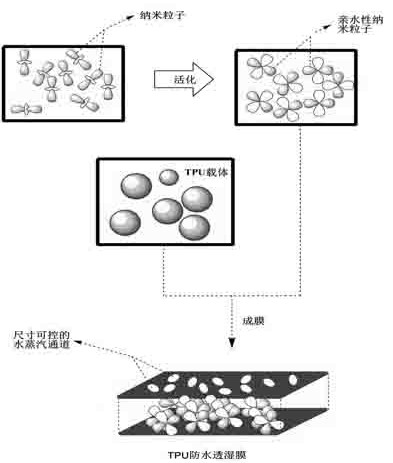 Intelligent waterproof moisture-permeable film and preparation method thereof