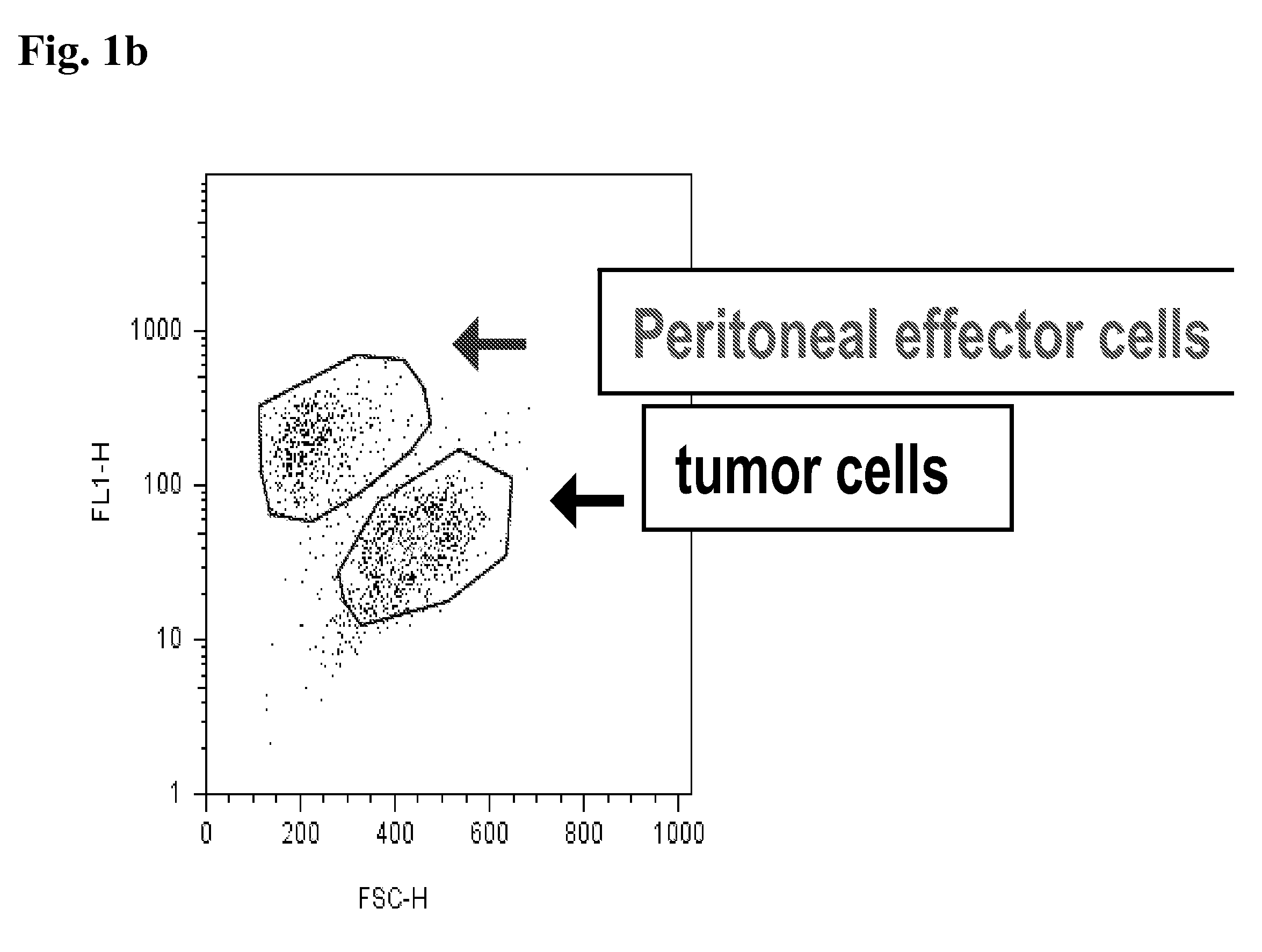 Combination therapy of an afucosylated antibody and one or more of the cytokines gm CSF, m CSF and/or il3